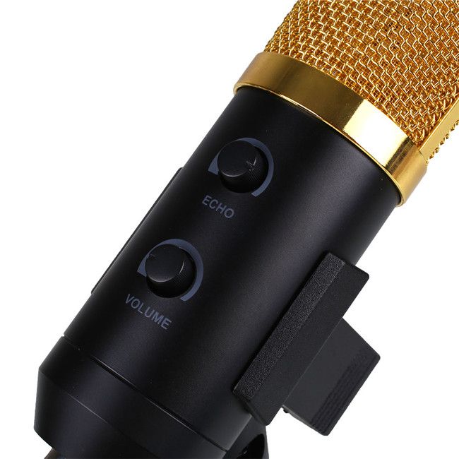 100 fx microphone